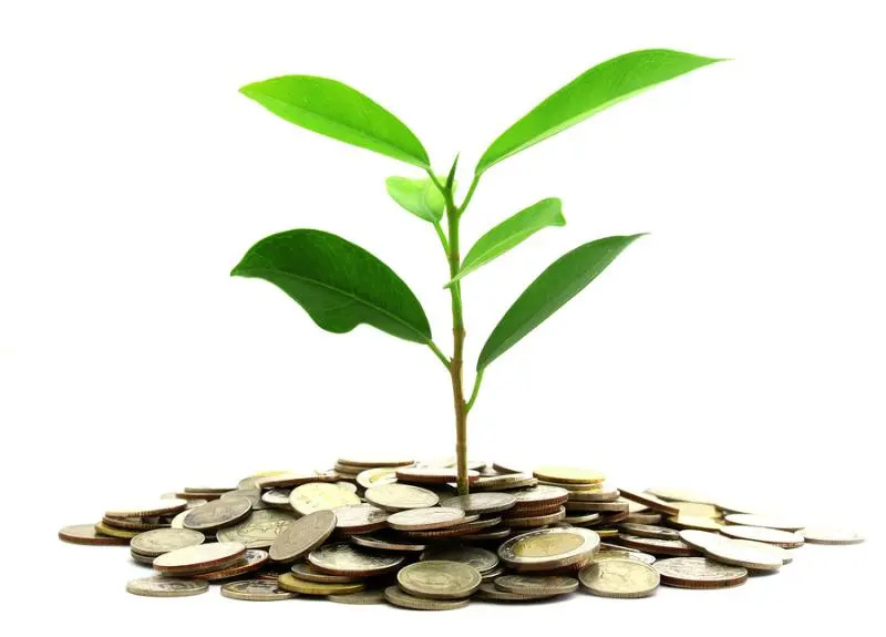 Инвестиции SKF в сохранение экологии | Свежие новости в Магнитогорске